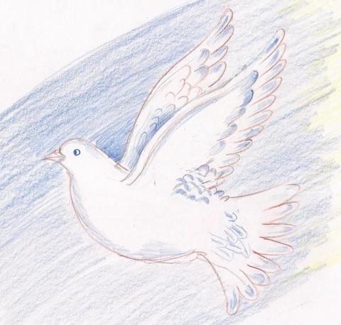 Art for Peace picture
