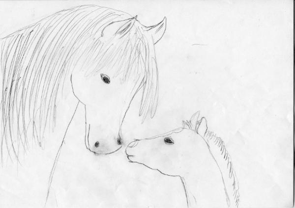 Art for Peace picture