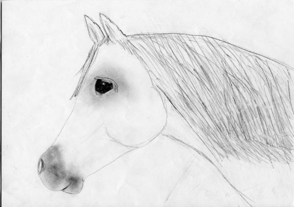 Art for Peace picture