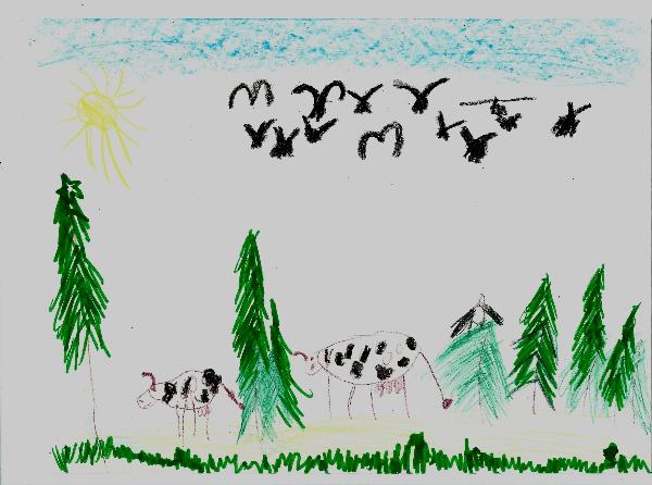 Art for Peace picture