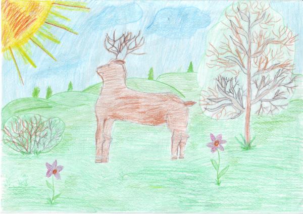 Art for Peace picture