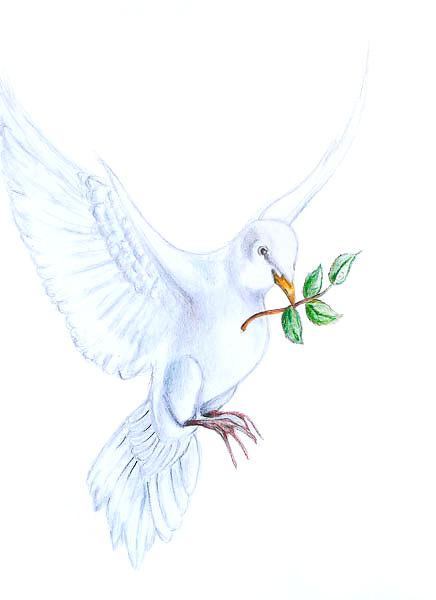 Art for Peace picture