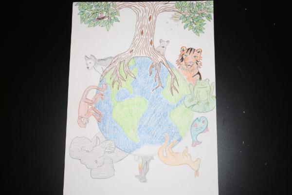 Art for Peace picture