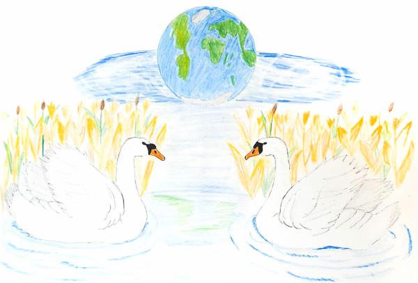 Art for Peace picture