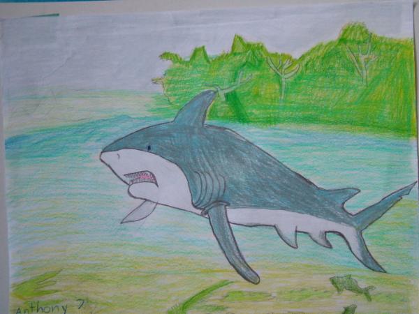 Art for Peace picture