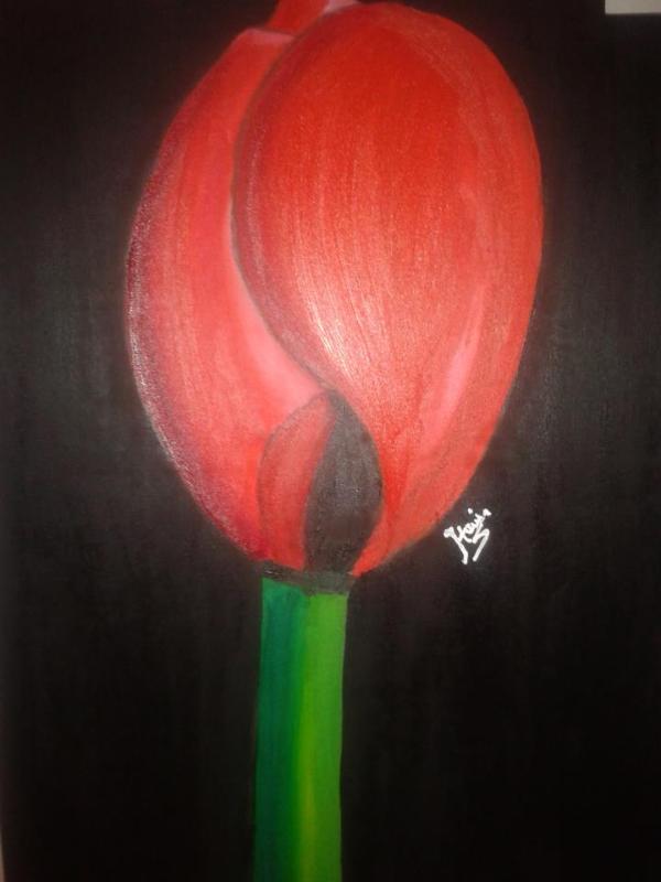 Art for Peace picture