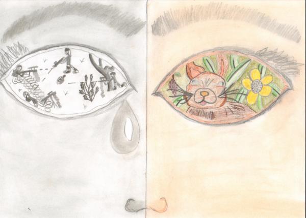 Art for Peace picture