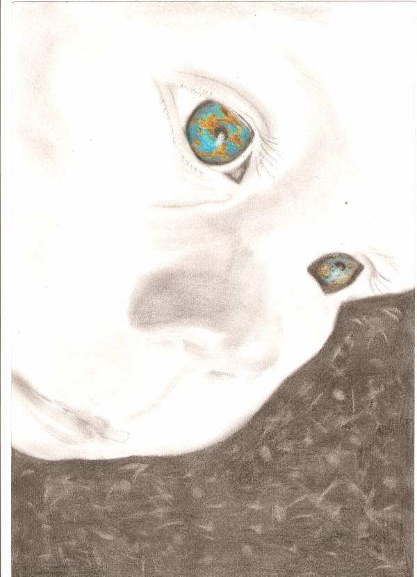 Art for Peace picture